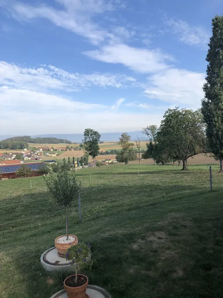 Monika Kavanagh_Le Relais du Chateau Monney_Misery-Courtion_Bewertung