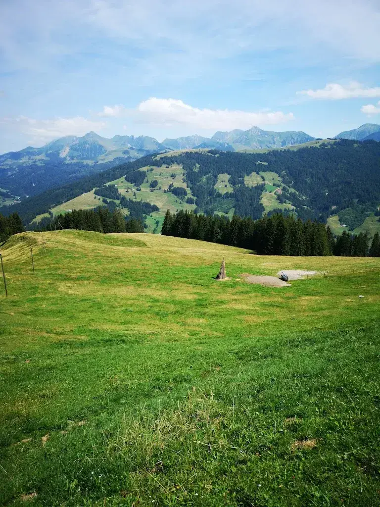 Alain Margot_Berghaus Gurli_Plaffeien_review