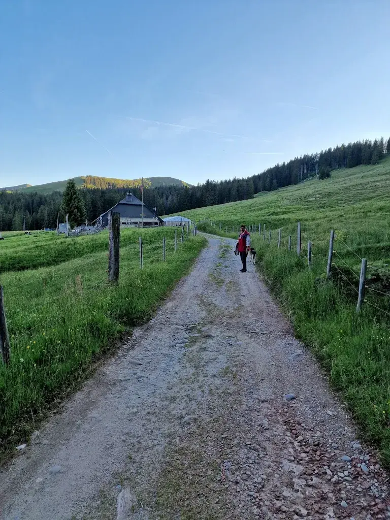 Daniel Walter Bongard_Buvette Wusta_Plasselb_recensione