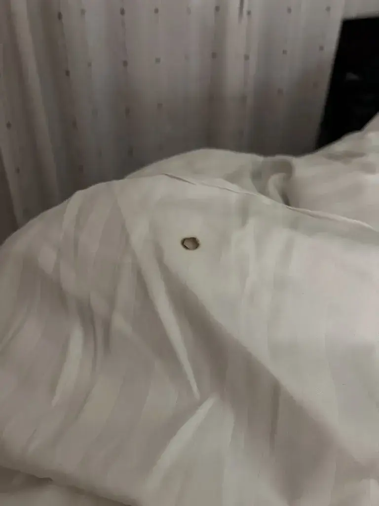 Margaret Kurzempa_Café Hotel de La Place ‘chez Francine’_Corsier-sur-Vevey_review