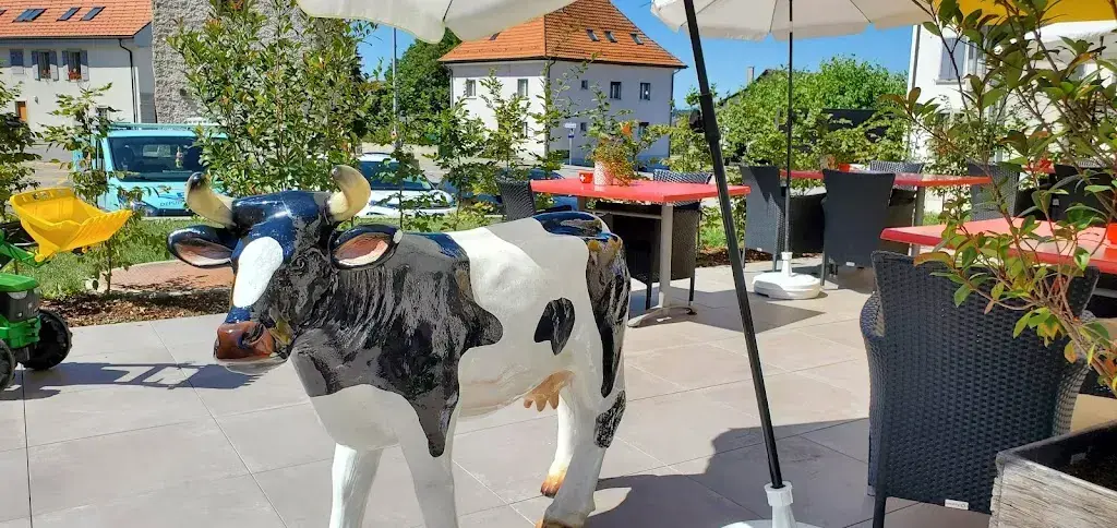 Mariko Arrigoni_Chez Manu Fromagerie Bistro_Semsales_review