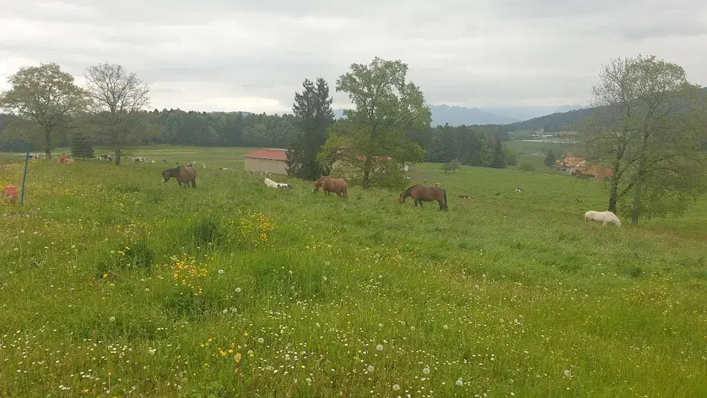 Tièche Pierre_Buvette des Obasseires_La Verrerie_review