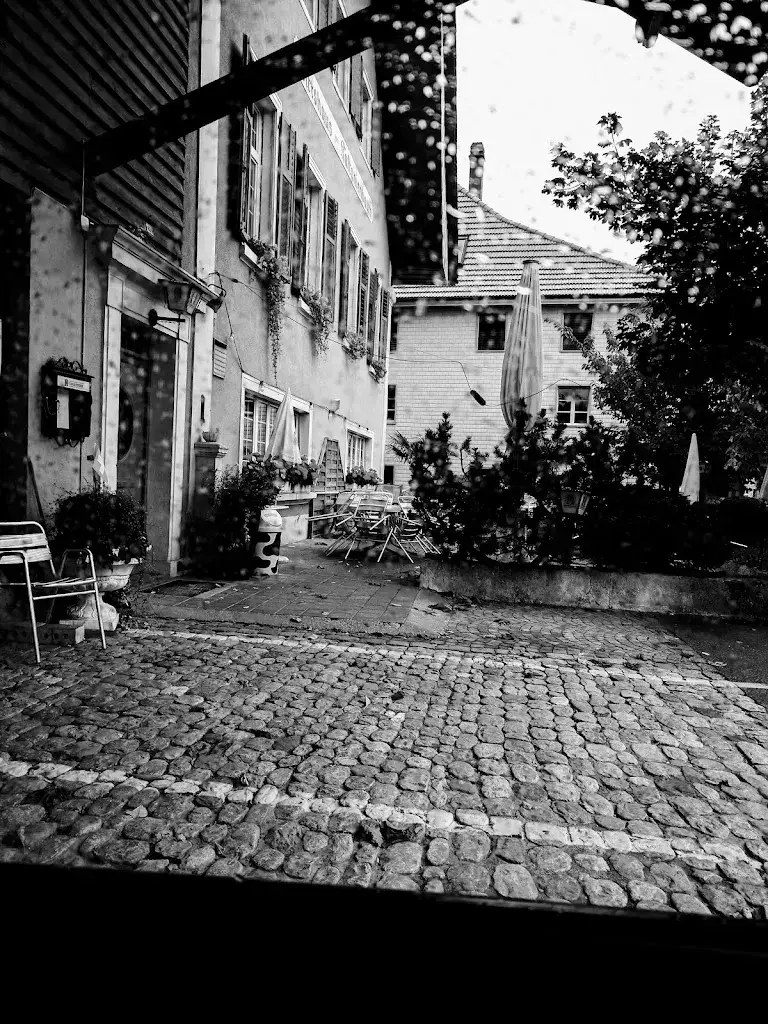 yellowPoint_Kastanienbaum_Kestenholz_avis