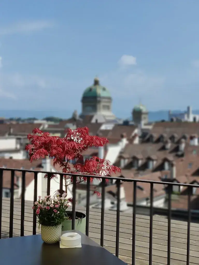 Sebastien Gavillet_Sky Terrace_Bern_avis