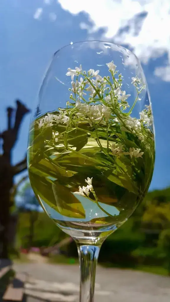 Menu_Bergwirtschaft Rinderweid_Holderbank_immagine_7