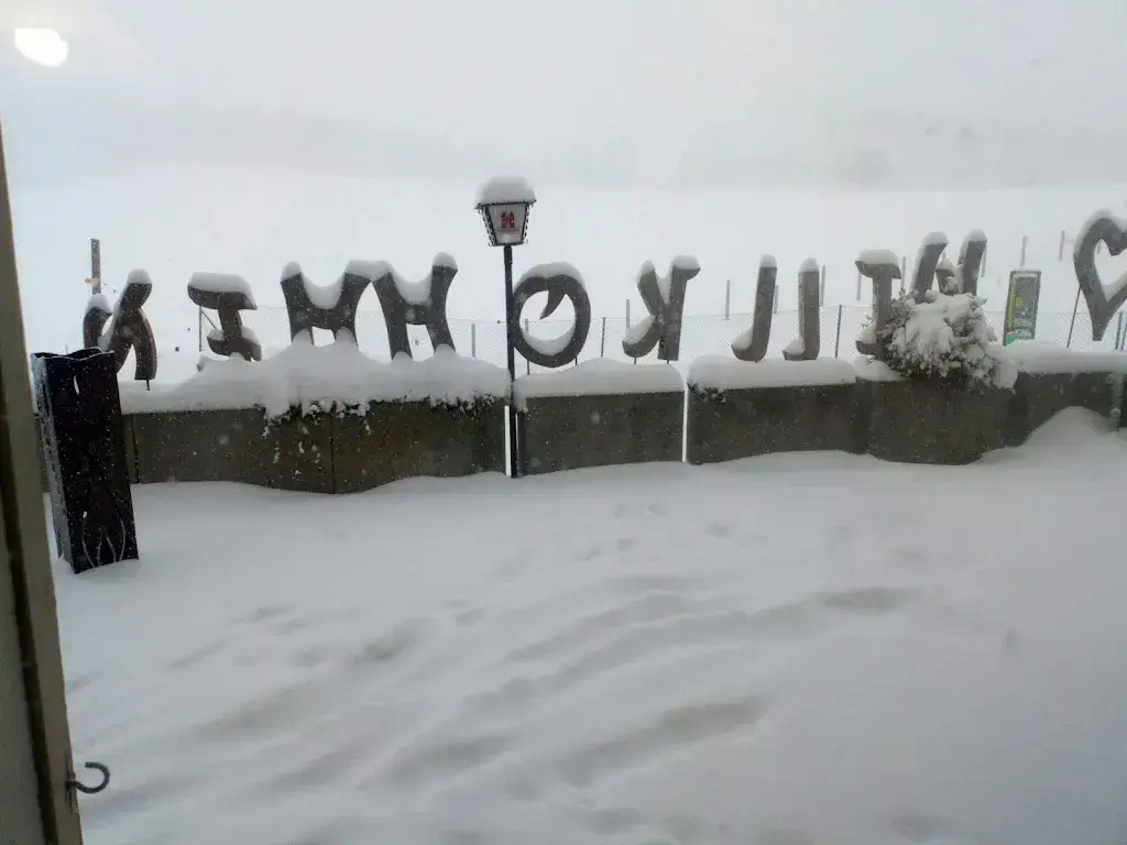 akrem farhani_Bergwirtschaft Bremgarten_Balsthal_avis