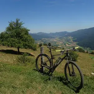 Rolf Vogt_Vorder Brandberg_Herbetswil_avis