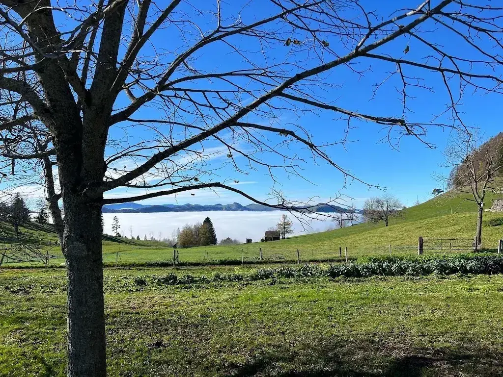 Reinhard Moschitz_Biohof und Bergwirtschaft Ober Passwang_Mümliswil-Ramiswil_review