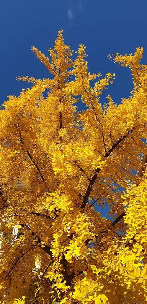 Franz Hermann_Gasthof Pizzeria Kreuz Steakhouse_Mümliswil-Ramiswil_review