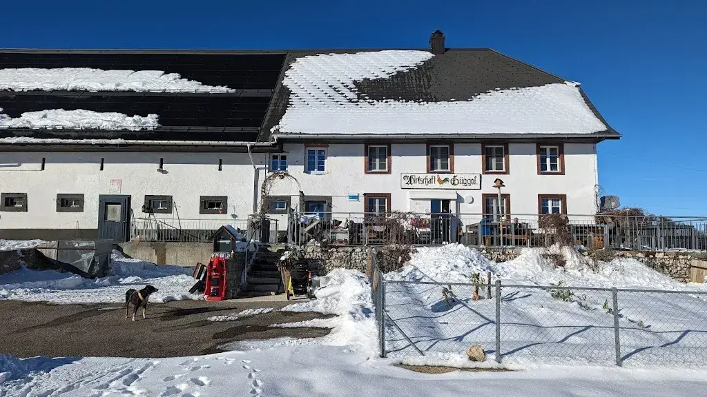 Kevin Burri_Bergwirtschaft Güggel_Mümliswil-Ramiswil_reseña