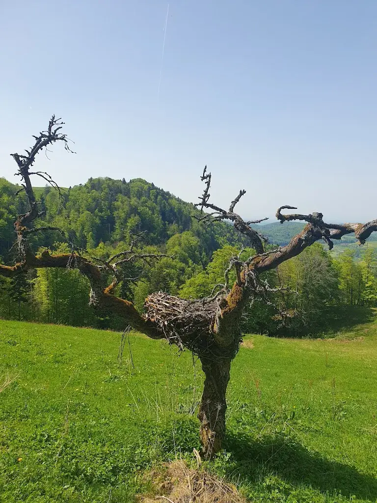 Andre Jay_Berggasthaus Hintere Wasserfallen_Reigoldswil_avis