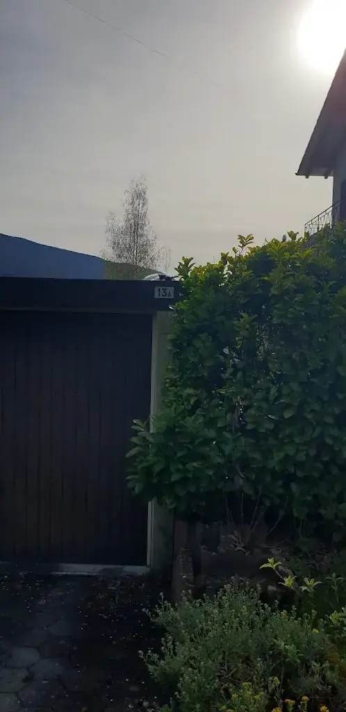 Marcel Hofacker_Bachtalen_Langenbruck_Bewertung