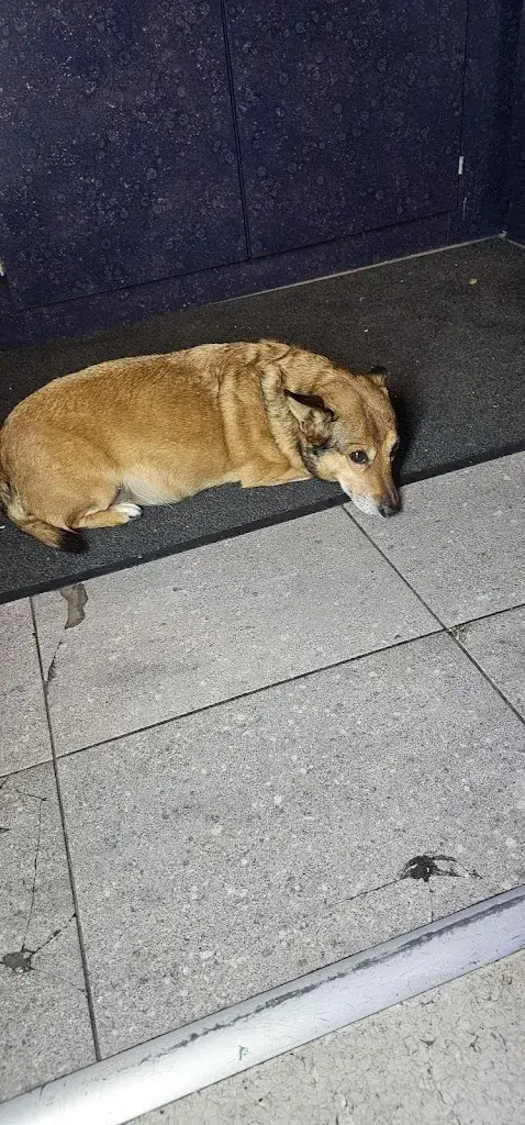 Michelle Sager_Rütli Music Bar_Beinwil am See_review