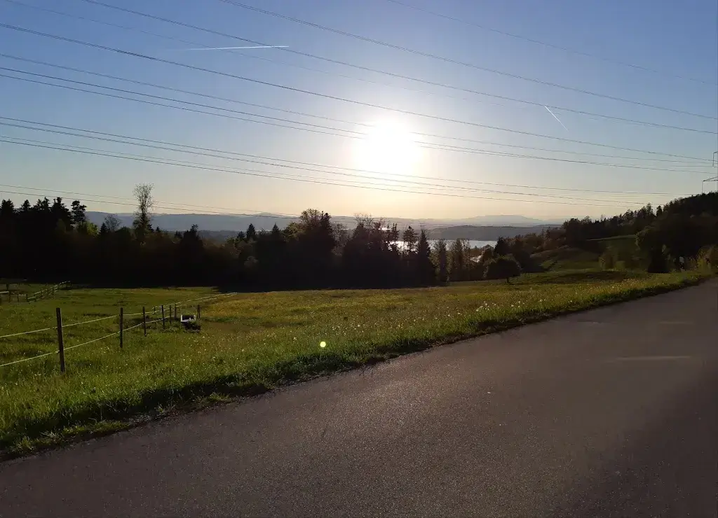 Riccardo Mazzucchelli_Hirschfarm Restaurant_Bäretswil_Bewertung