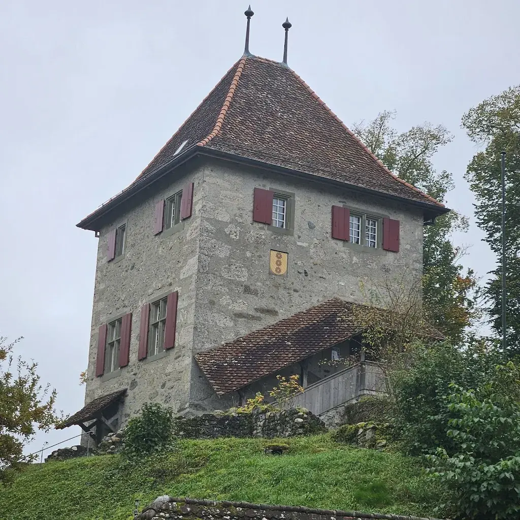 Reto Platzer_Buechi Schlössli_Buchegg_review