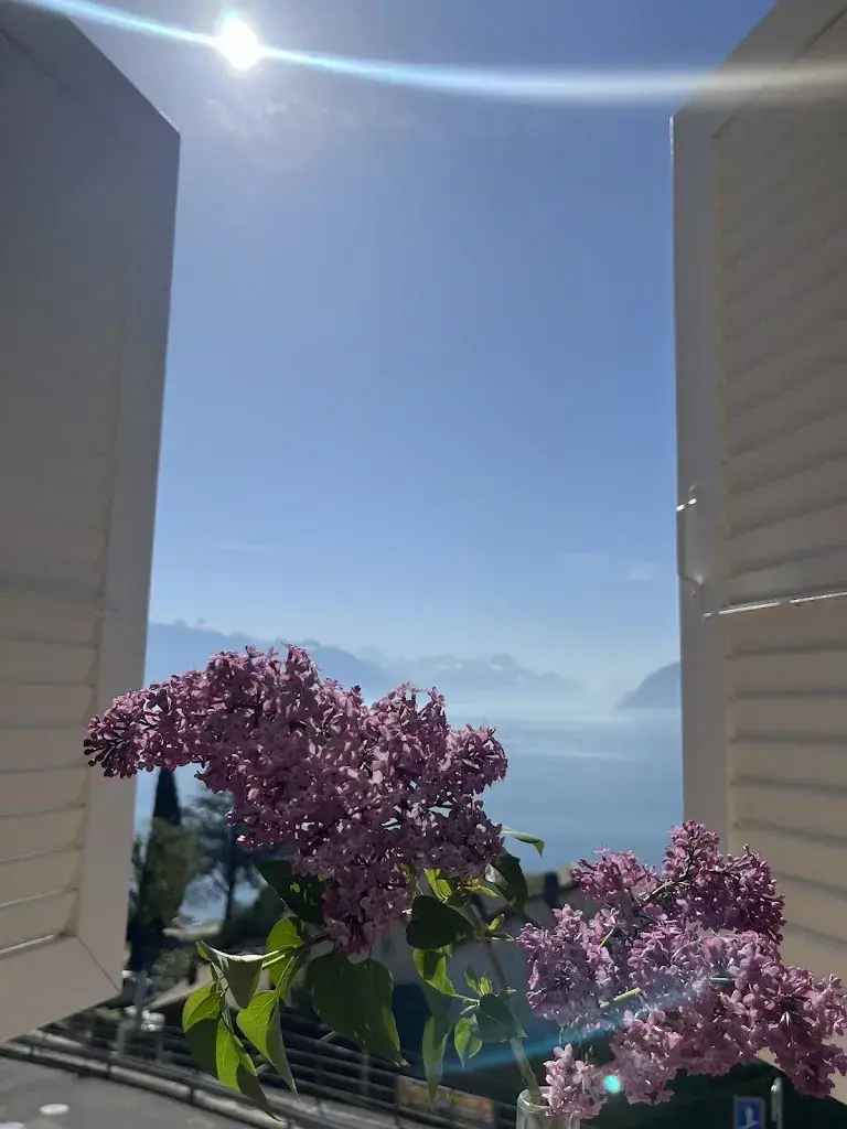 Nicoleta Hacina_Auberge de Rivaz_Rivaz_reseña