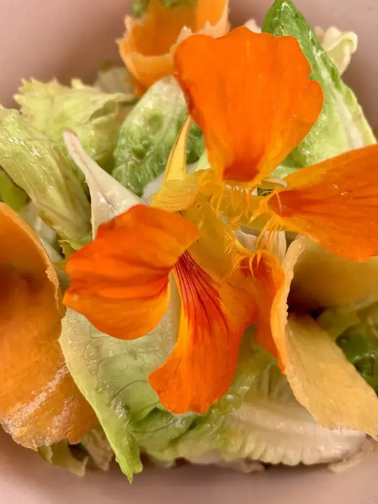 Menu_Restaurant Lämmli_Metzerlen-Mariastein_image_6