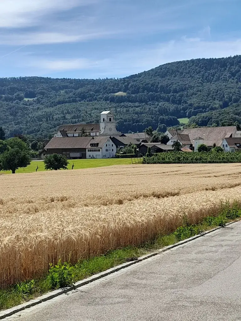 Clovis Salgado Gontijo_Klosterhotel Kreuz_Metzerlen-Mariastein_recensione