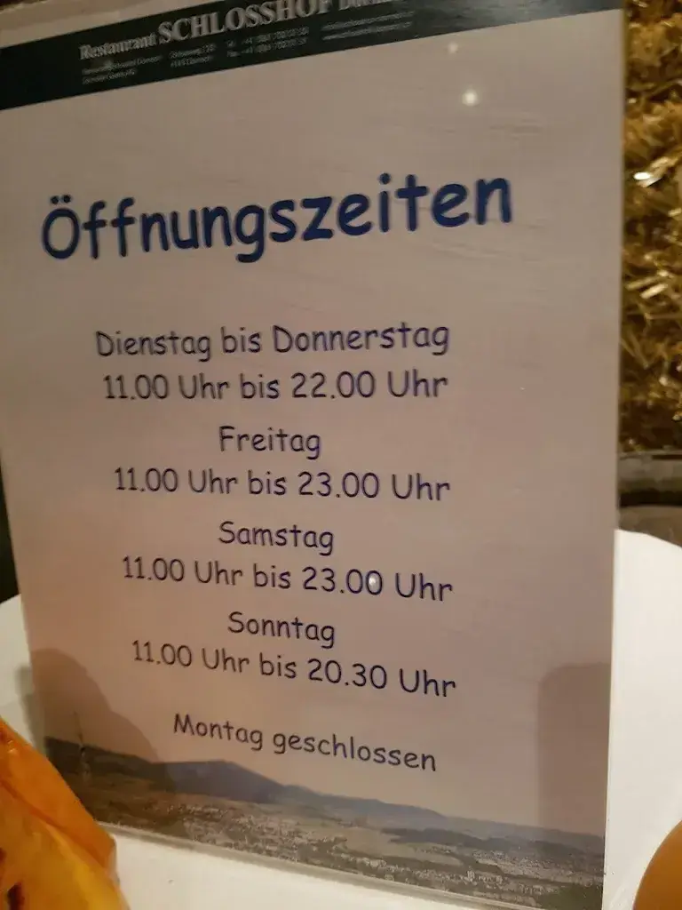 Menu_Restaurant Schlosshof Dornach_Dornach_immagine_2