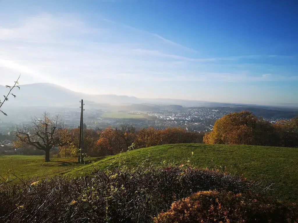 DragonC DragonC_Restaurant Schlosshof Dornach_Dornach_recensione