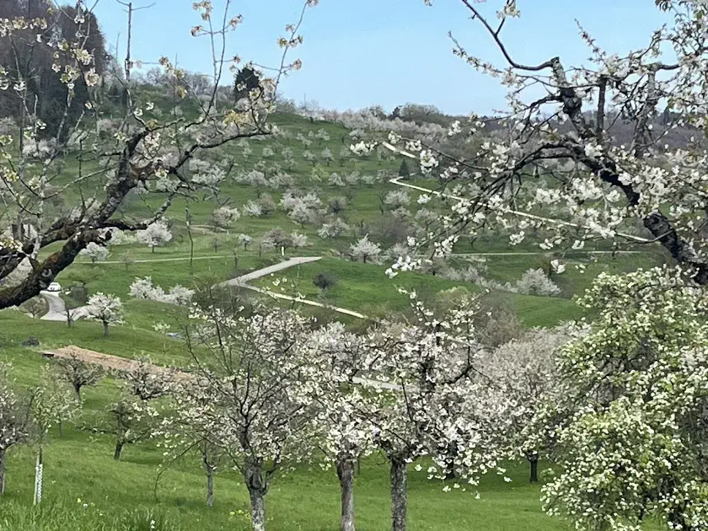 Thi-Hong Ma_Alte Brennerei_Nuglar-St. Pantaleon_review