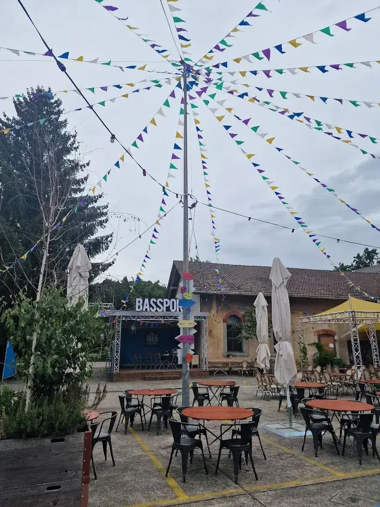 MONIKA T._Innenhof 1855_Olten_avis