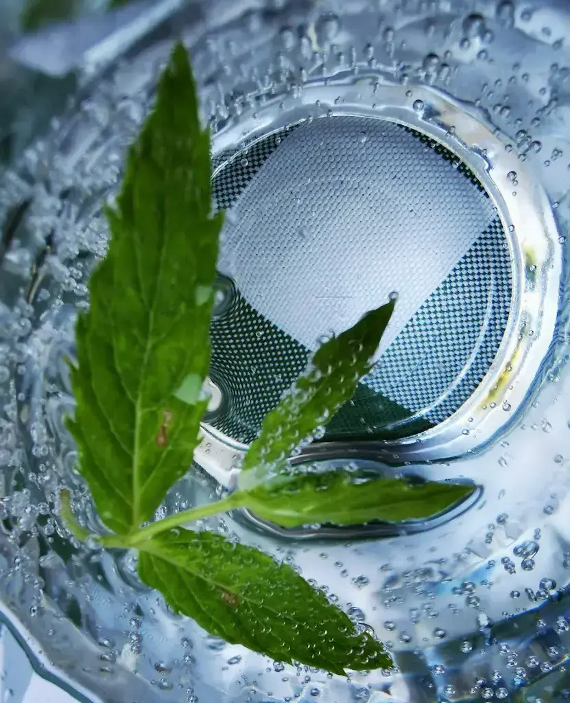 Menu_Bären Madiswil_Madiswil_image_7