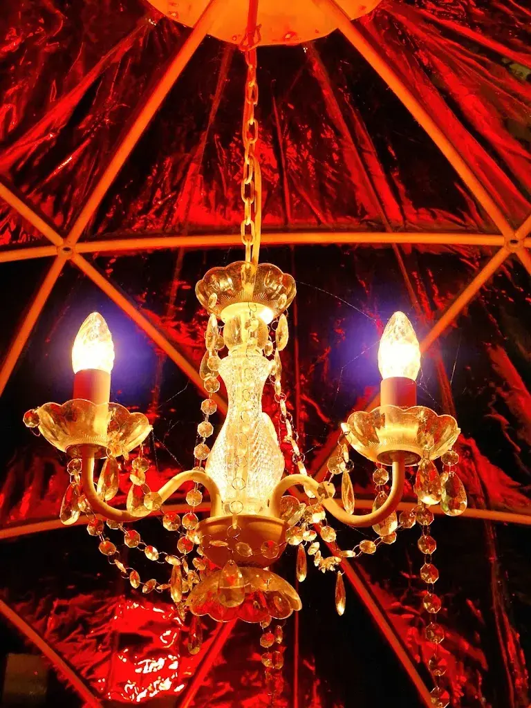 Sandra Schlienger_Restaurant Brücke_Niedergösgen_avis