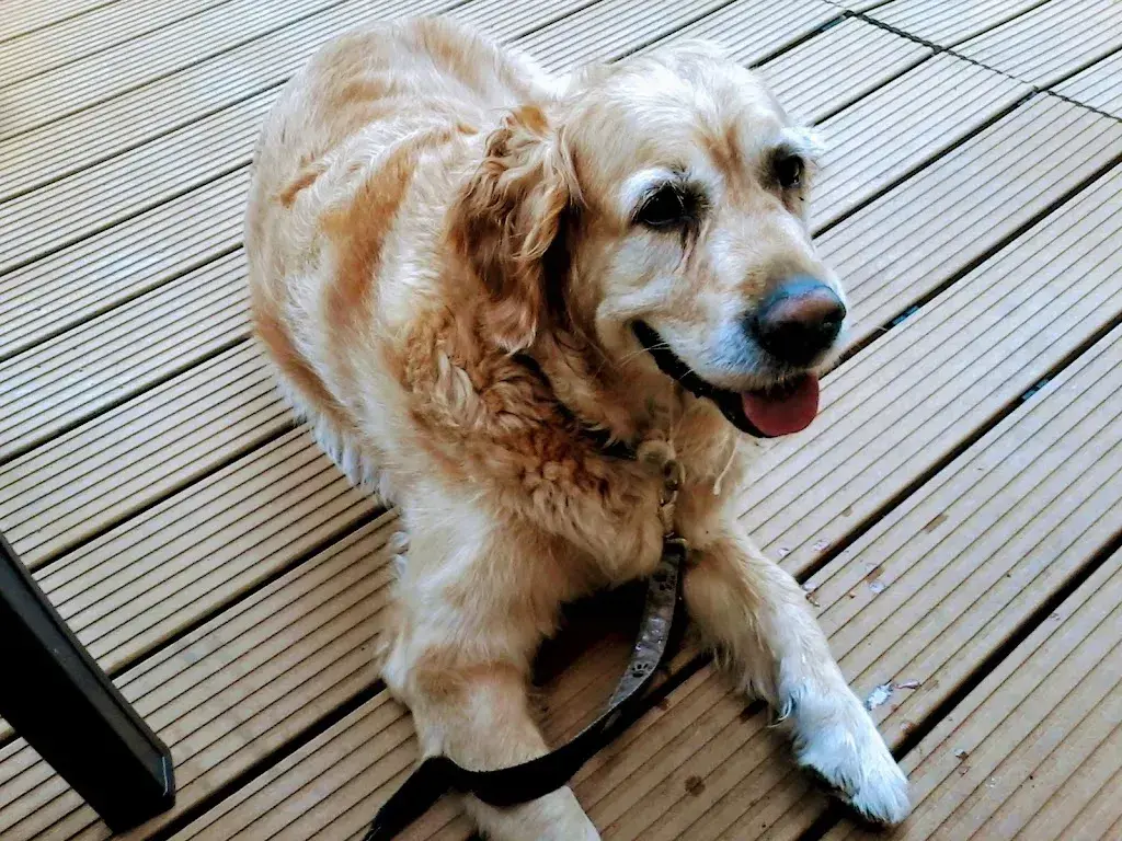 Restaurant Rustica_Liebefeld_slider_image_3