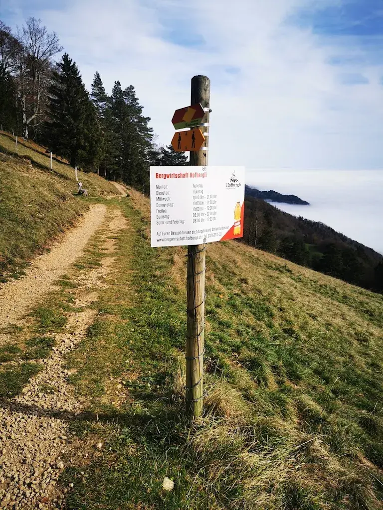 Affolter Urs_Bergwirtschaft Hofbergli_Günsberg_review