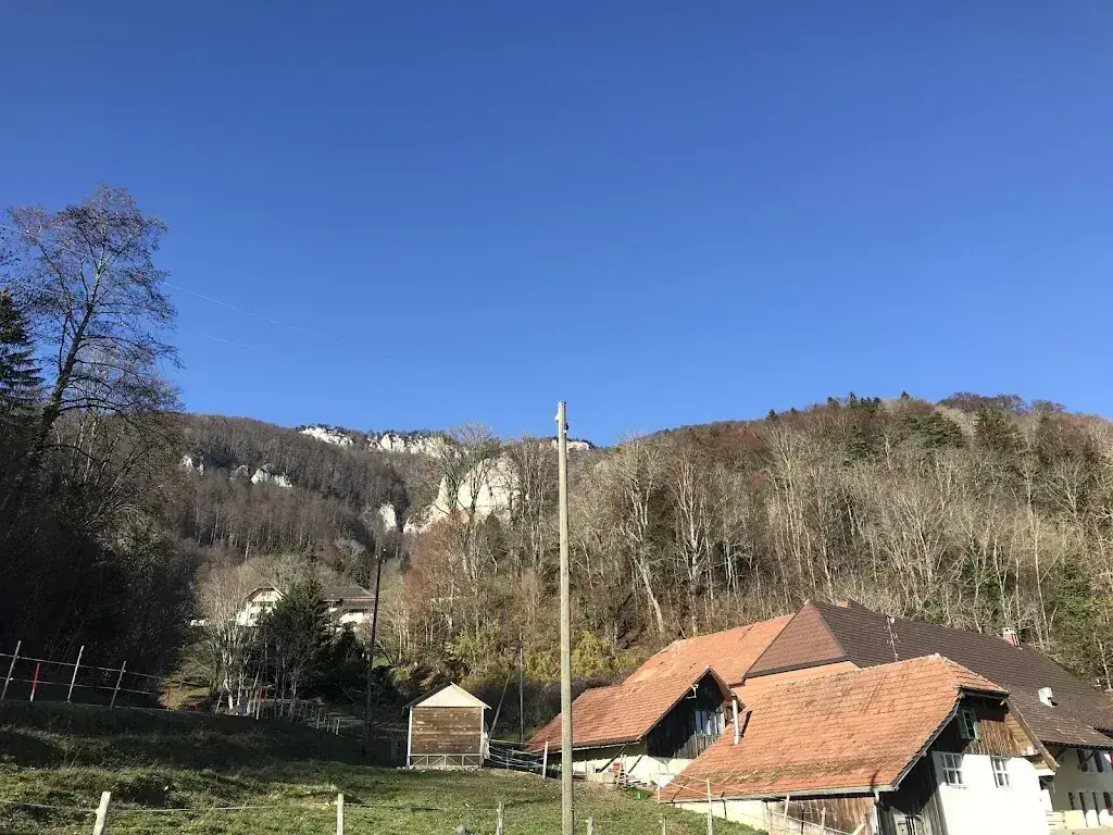 Martina Dalla Vecchia_Restaurant Glutzenberg_Günsberg_review