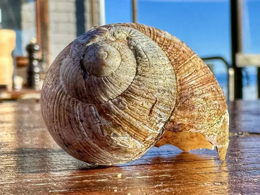 Menü_Niederwiler Stierenberg_Balmberg_Bild_7