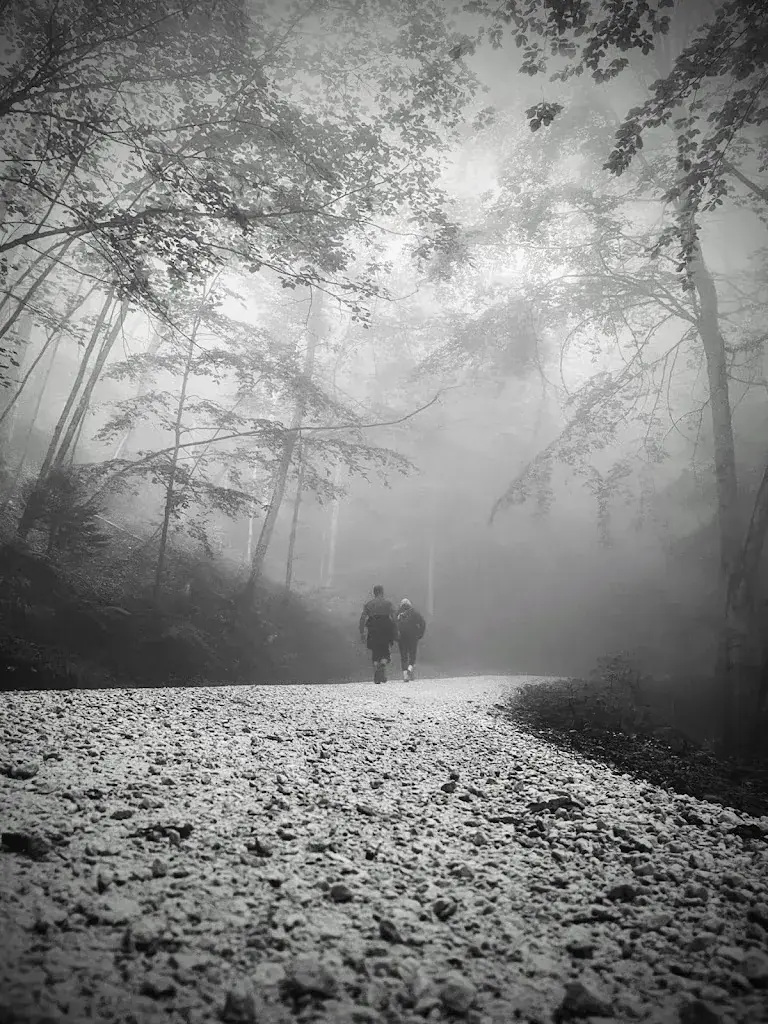 Ivan Jovic_Bergrestaurant Bettlachberg_Bettlach_avis