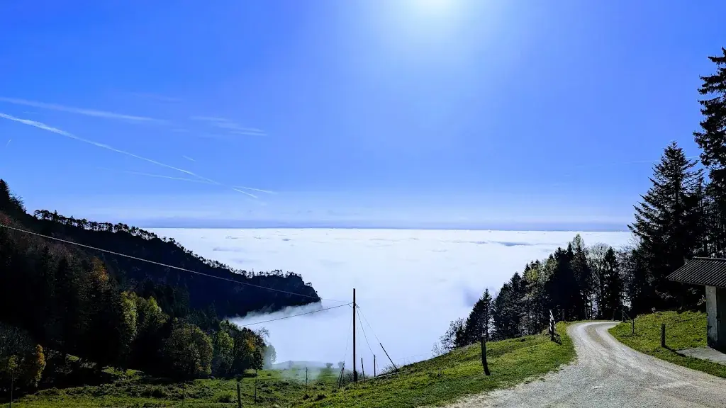 Fabian Gehrig_Bergrestaurant Bettlachberg_Bettlach_avis