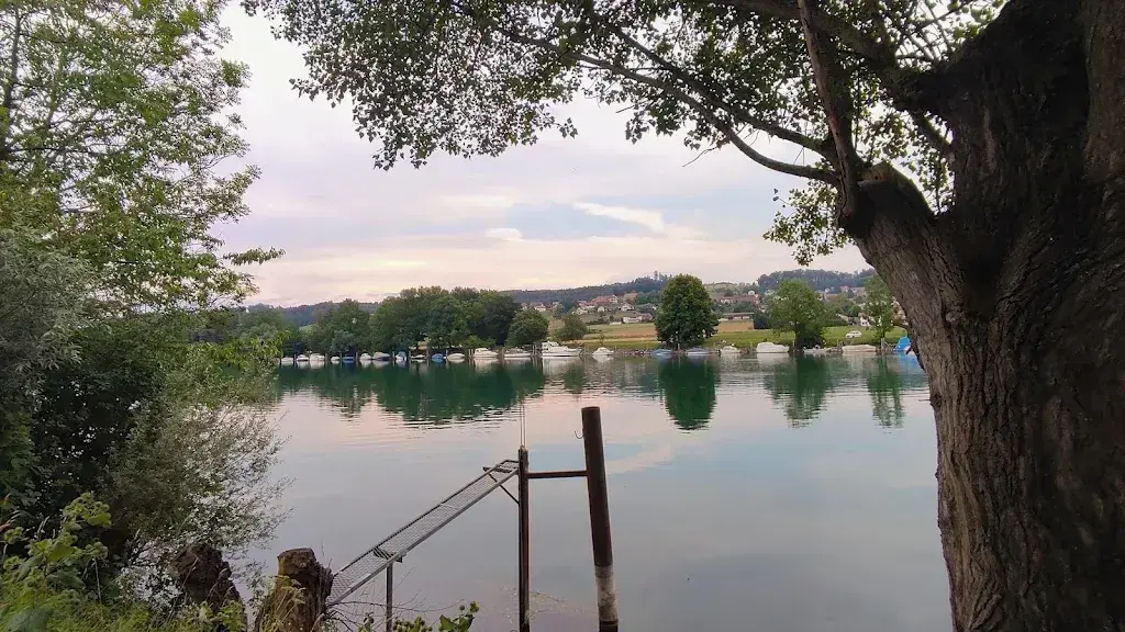 Daniel_Restaurant Fischerhaus_Grenchen_review