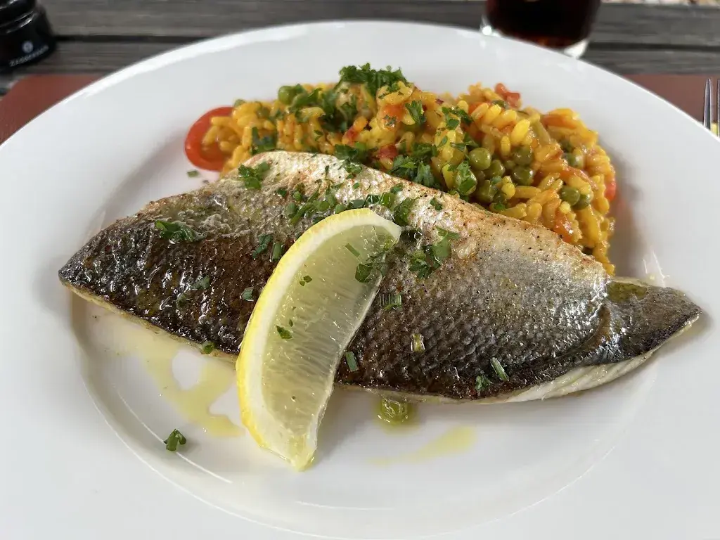 Michel Schreck_Barcelona Central_Wil_review