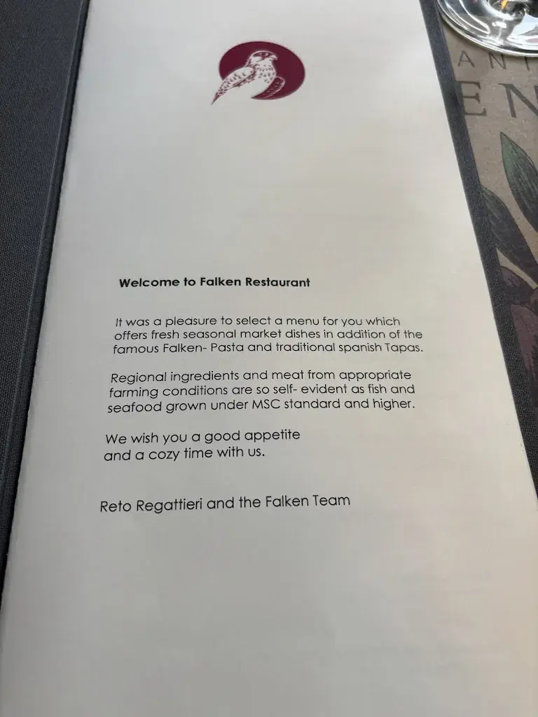 Sophie Sieveking_Falken_Bern_avis