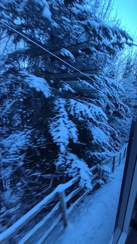 Elmo Scheffer_Restaurant Gurtners_Wabern bei Bern_avis