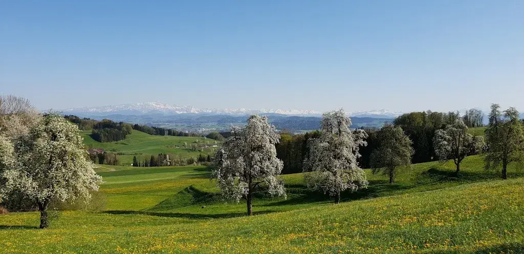 Andreas Keller_Waldrose Eventlocation_Rossrüti_avis