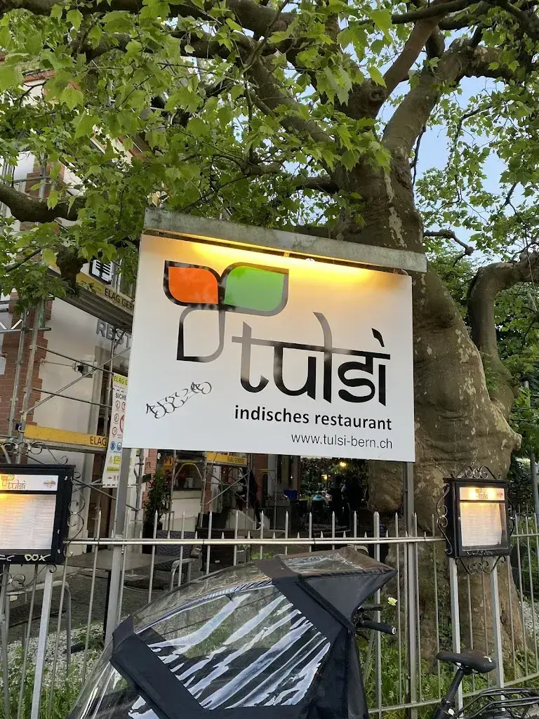 Shivshankar Podder_Tulsi_Bern_review