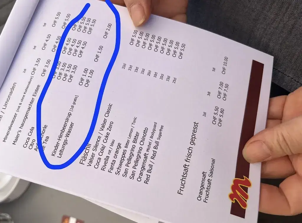 Sh Khan_Maier_Gretzenbach_review