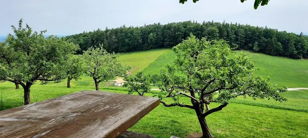 Shabbir Ali_Schäferstube Allerheiligenberg_Allerheiligenberg_review