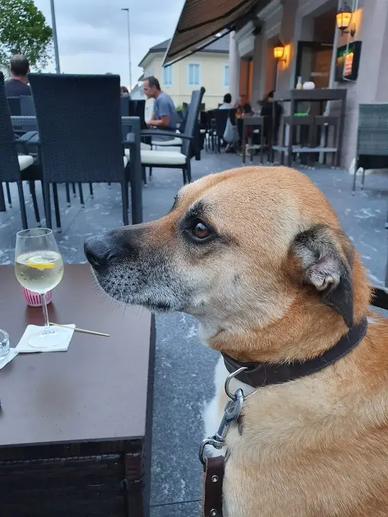 S V_TimeOut Sportsbar_Hägendorf_Bewertung