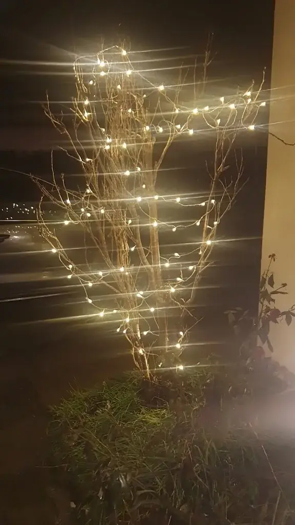 Colin Schmid_Pizzeria Julien_Rickenbach Sulz_review