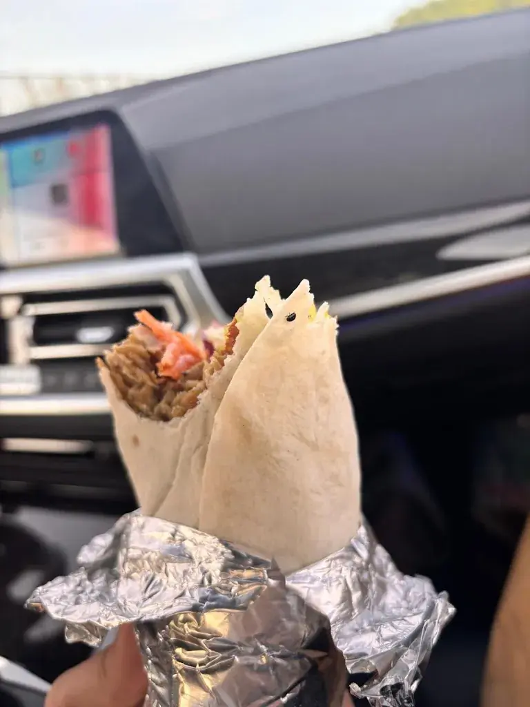 petar jelinic_Erdem's_Schönenwerd_avis