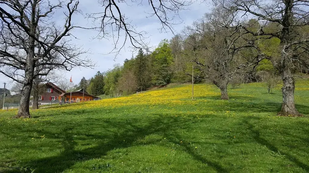 Joshua Vig_Restaurant Meltingerberg_Meltingen_Bewertung