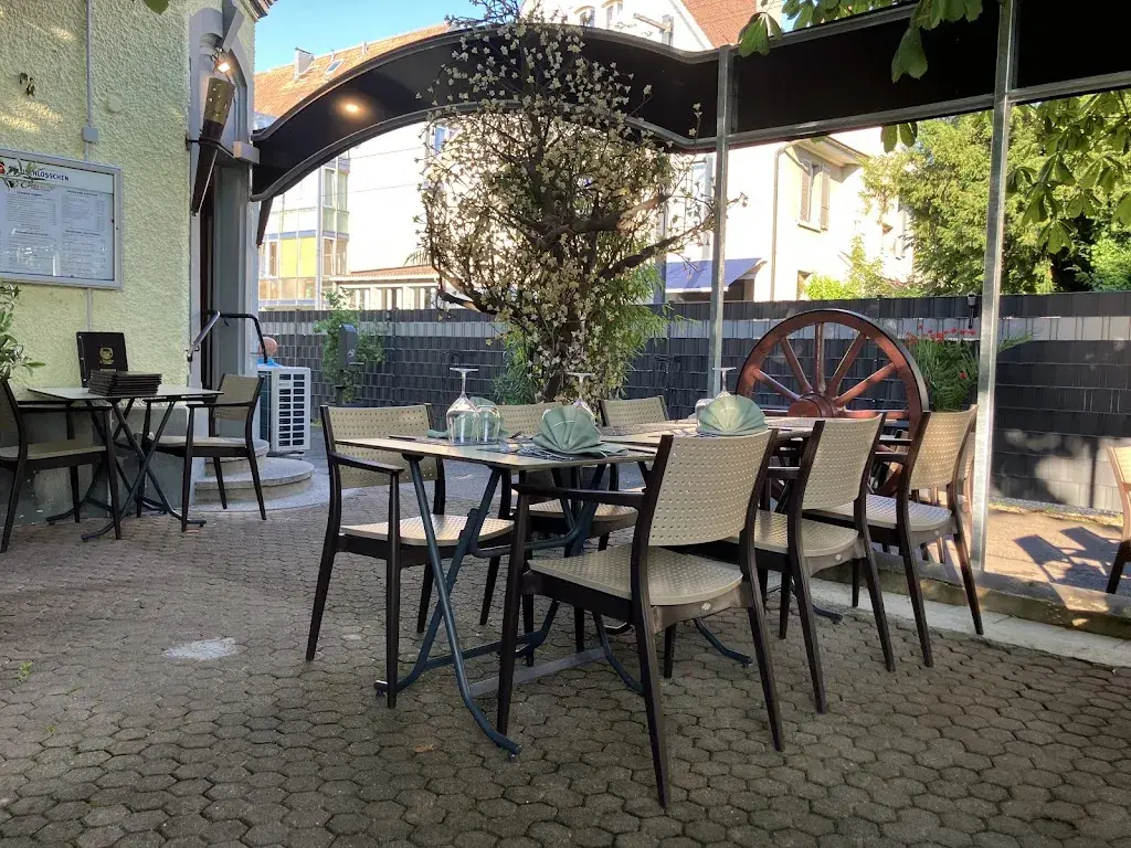 Andreas Lucco_Restaurant Classico-steakhouse_Arlesheim_review