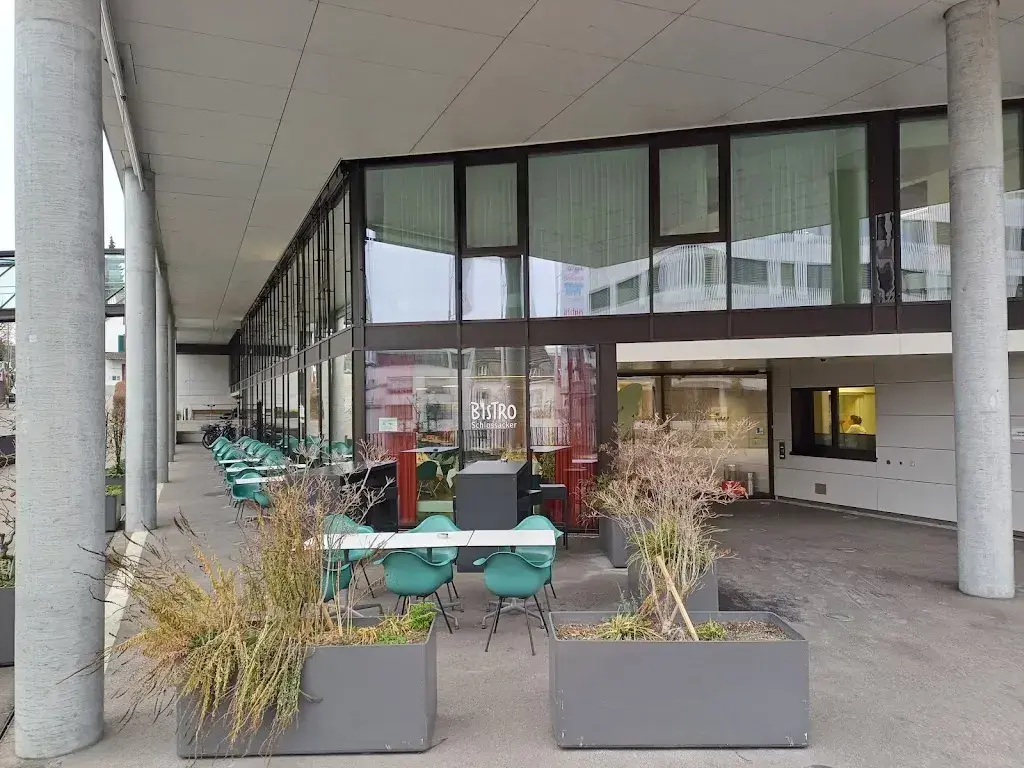 Rat mommy_Bistro Schlossacker_Binningen_avis