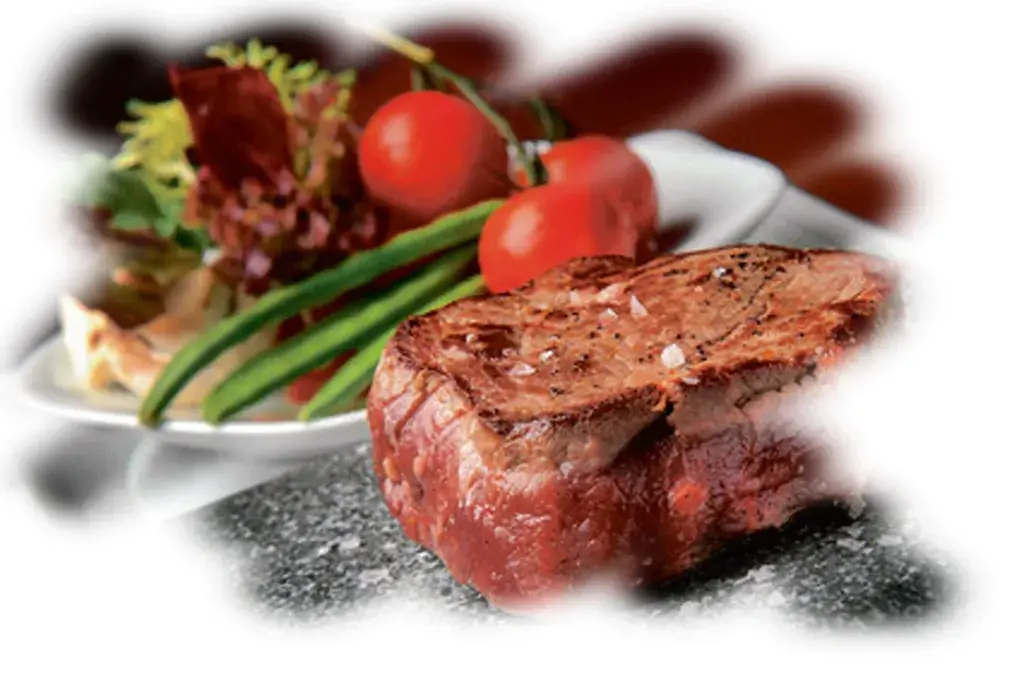 Menu_Restaurant Highspeed Music Bar_Binningen_immagine_3