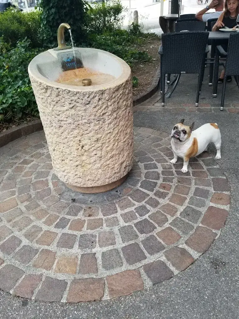 Tony H_Casablanca_Birsfelden_review